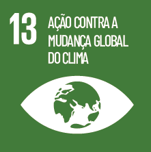Imagem: Ícone ODS. 13. AÇÃO CONTRA A MUDANÇA GLOBAL DO CLIMA. Ilustração de um olho com o globo terrestre ao centro. Fim da imagem.