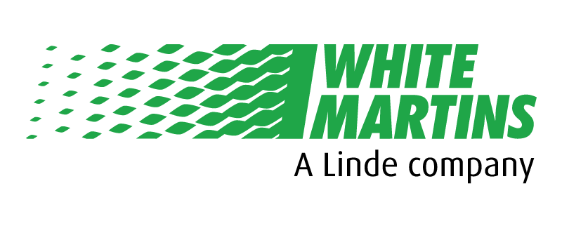 fundacao dorina nowill para cegos logo parceiros visao white martins