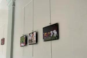 A imagem mostra uma exposição de arte. Na parede branca, há quatro quadros com fotografias coloridas, penduradas por fios finos que descem do teto.